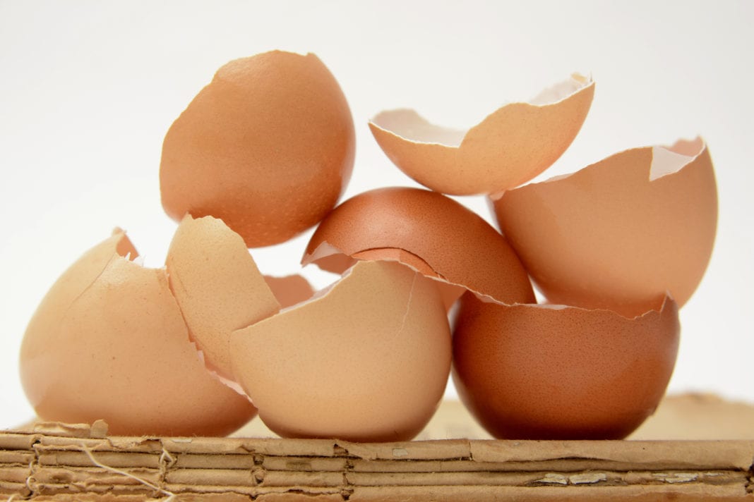 ¡No tires las cáscaras de huevo! Te decimos cómo aprovecharlas