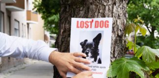Estafas con mascotas perdidas