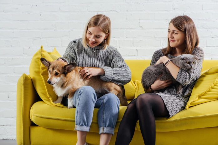 7 canciones que demuestran lo mucho que vale una mascota